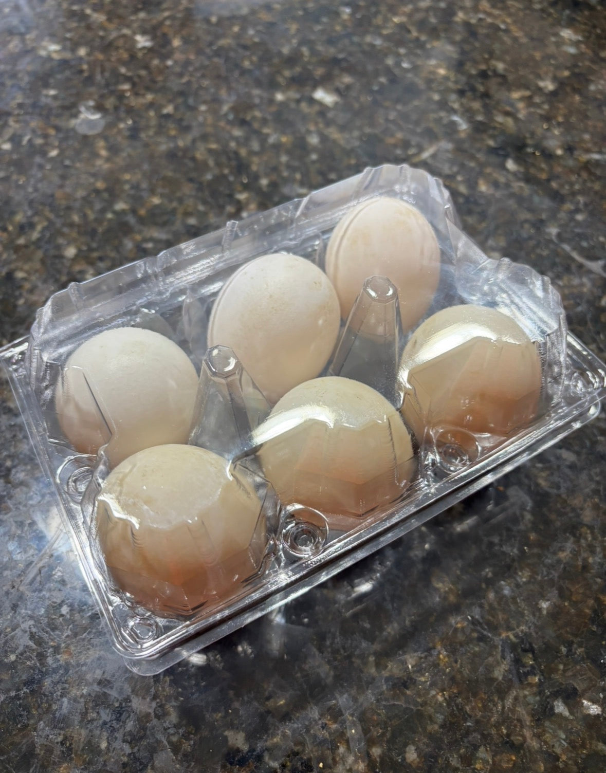 Fresh Duck Eggs